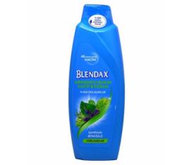 Blendax Arındırıcı Hafif & Ferah 500ml