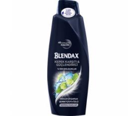 Blendax Kepek Karşıtı Güçlendirici 550ml