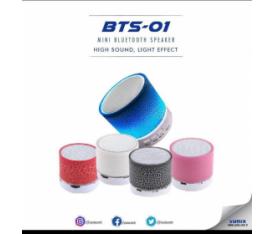 Sunix BTS-01 Mini Bluetooth Speaker