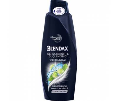 Blendax Kepek Karşıtı Güçlendirici 550ml