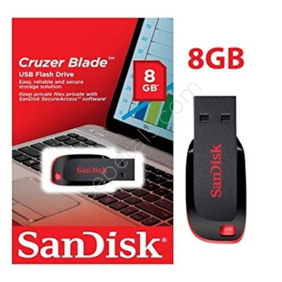 sandisk-8-gb-flash-bellek-resim-1750.jpg